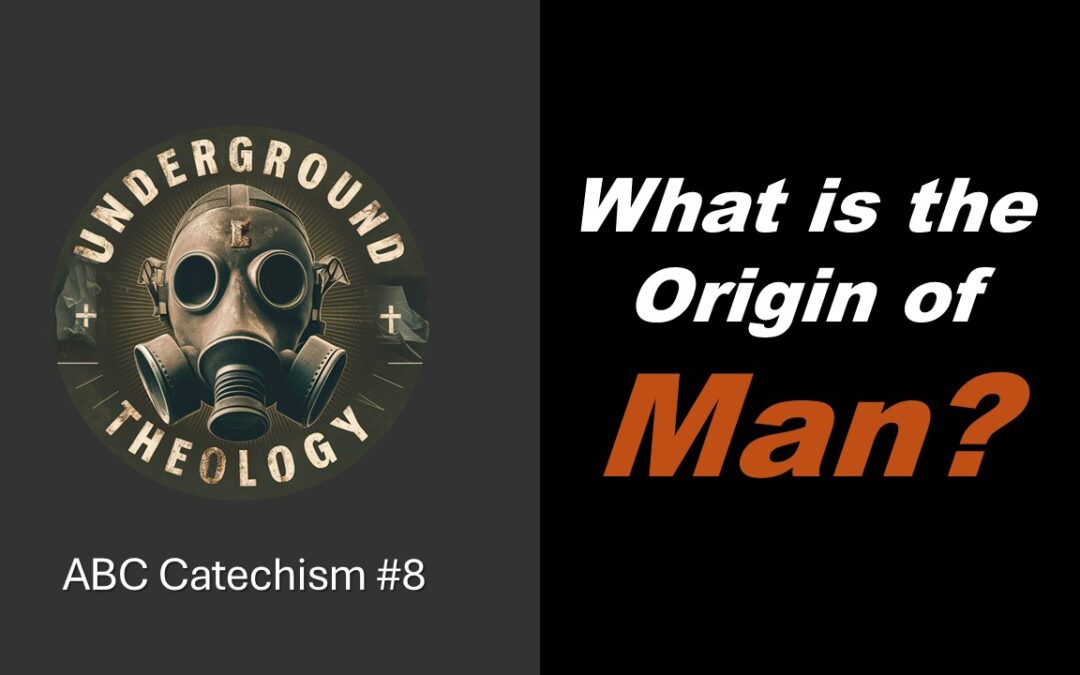 CAT#8 – What is the Origin of Humanity?