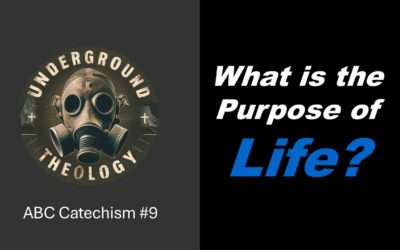 CAT #9 – What is the Purpose of Life?